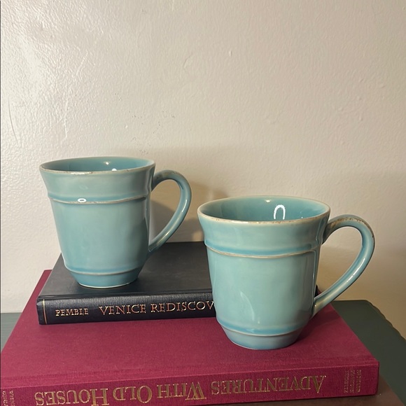 Pottery Barn Other - Pair of Pottery Barn Cambria Turquoise Farmhouse Cottagecore Mugs Portugal